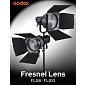 Godox Fresnel FLS10